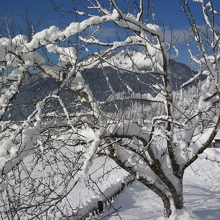 Apartamento Waldesruh