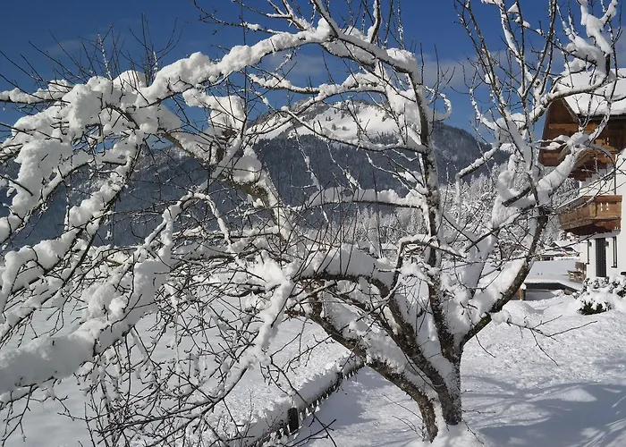 Apartament Waldesruh